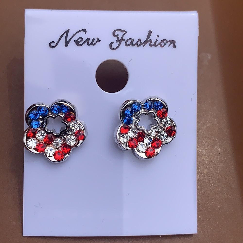 New Patriotic Earrings